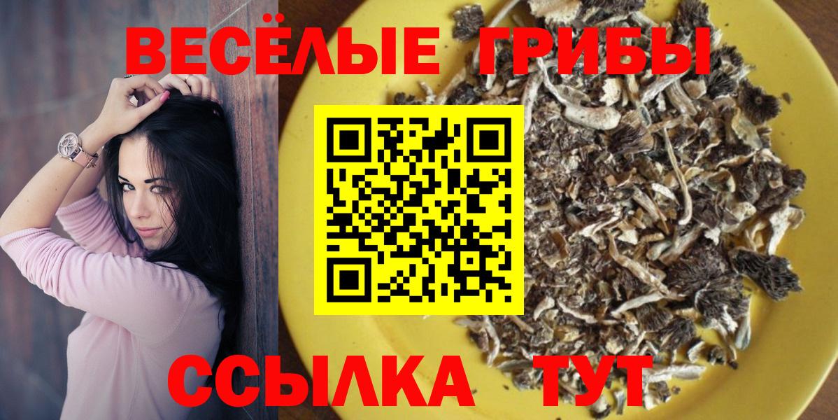 Энгельс  Псилоцибиновые грибы Magic Shrooms  Вход с VPN 